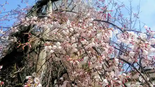 長建寺の自然