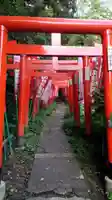 佐助稲荷神社の鳥居