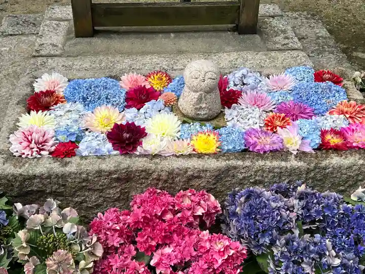 岡寺(龍蓋寺)(奈良県)