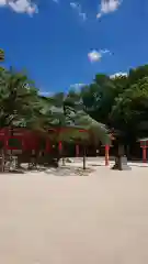 住吉神社の建物その他