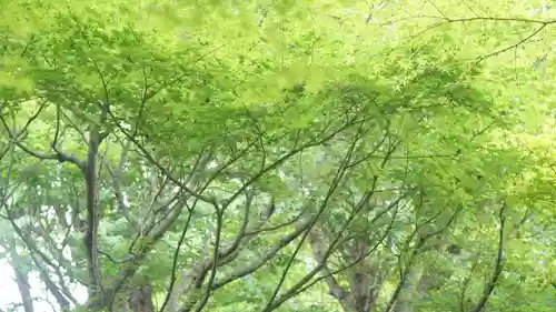 相国寺（相国承天禅寺）(京都府)