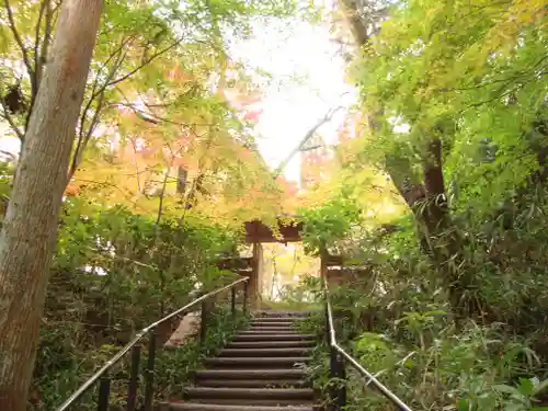 常照寺(京都府)