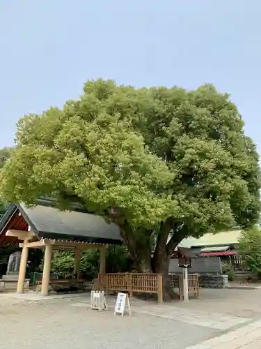 和泉國一之宮　大鳥大社(大阪府)