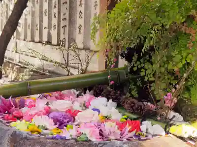 元三島神社の手水舎