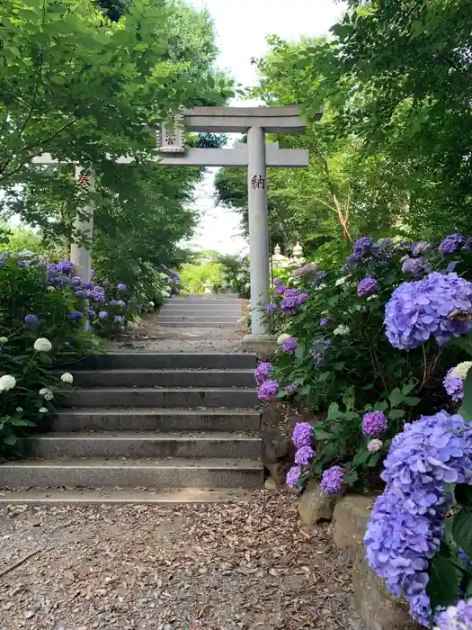 蓮田東照宮の鳥居