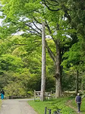 諏訪大社上社前宮(長野県)