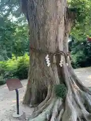 素鵞神社の自然