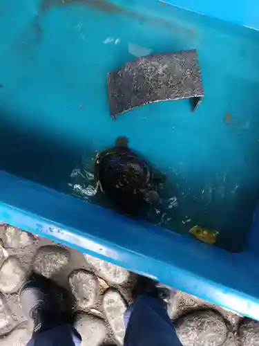 下谷神社(東京都)