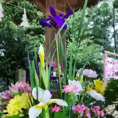 滑川神社 - 仕事と子どもの守り神の手水