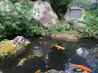 愛染明王堂(静岡県)