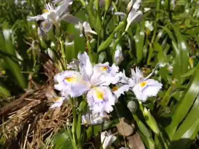 角原神社(福井県)