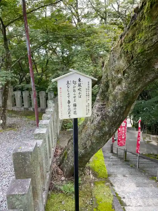 岩津天満宮のその他建物
