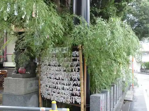 菊名神社のおみくじ