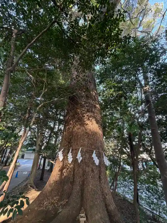 氷川女體神社の{uncategorized: "未分類", other: "その他", undefined: "問題あり", building: "その他建物", grave: "お墓", sacred_gate: "鳥居", guardian: "狛犬", statue: "像", buddha: "仏像", history: "歴史", nature: "自然", garden: "庭園", animal: "動物", pagoda: "塔", temizu: "手水舎", mountain_gate: "山門・神門", sanctuary: "本殿・本堂", subordinate: "末社・摂社", art: "芸術", scenery: "景色", jizo: "地蔵", ema: "絵馬", goshuin: "御朱印", omikuji: "おみくじ", items: "授与品その他", amulet: "お守り", goshuincho: "御朱印帳", eats: "食事", festival: "お祭り", votive_dance: "神楽", shichigosan: "七五三参", wedding: "結婚式", experience: "体験その他", initially: "初詣", around: "周辺", anti_infection: "感染症対策"}