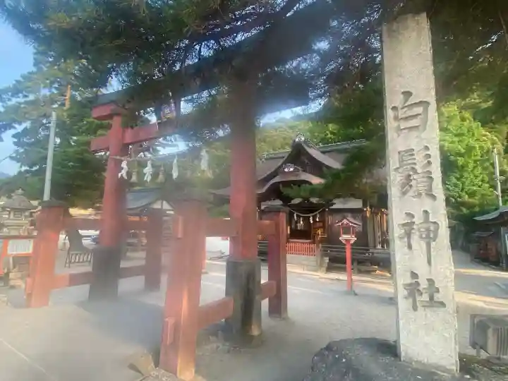 白鬚神社(滋賀県)