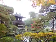 慈照寺（慈照禅寺・銀閣寺）の庭園