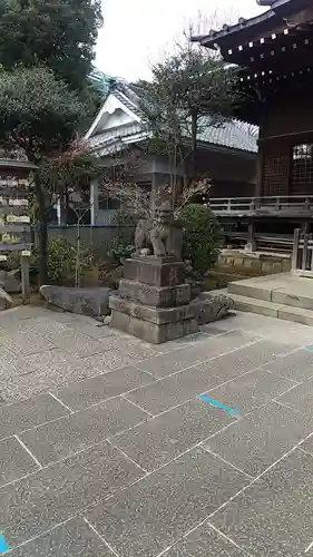 白山神社の狛犬