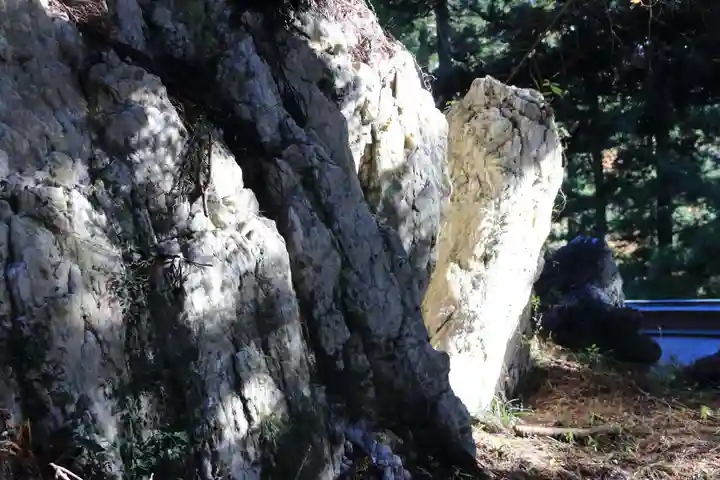 鹿島大神宮の自然