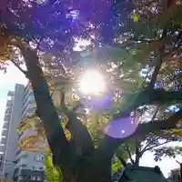 阿邪訶根神社(福島県)