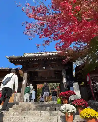 修禅寺の山門