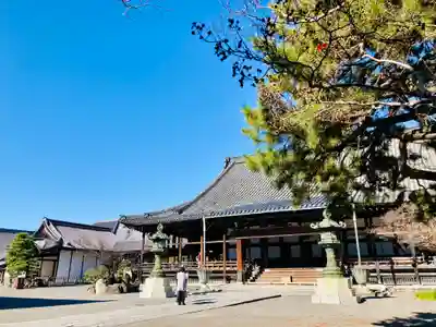 大通寺(長浜御坊)の本殿・本堂
