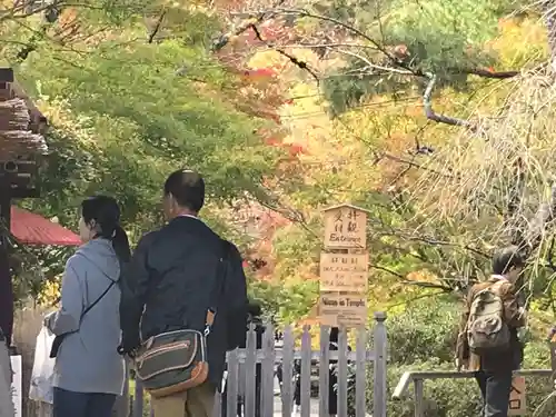 二尊院の庭園