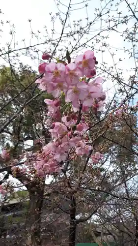東寺（教王護国寺）(京都府)