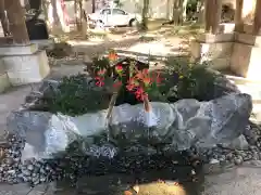 滋賀県護国神社の手水