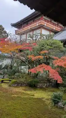 本法寺(京都府)