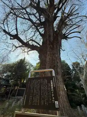 芝東照宮(東京都)