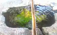 阿智神社の手水舎