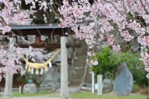 田村神社の鳥居