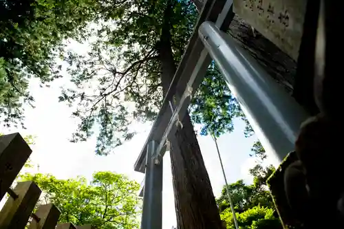 九頭龍神社の鳥居