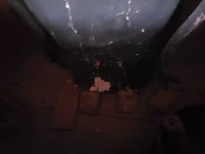 海善寺(三重県)