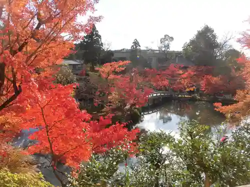 禅林寺（永観堂）の景色