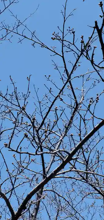 本荘神社(秋田県)