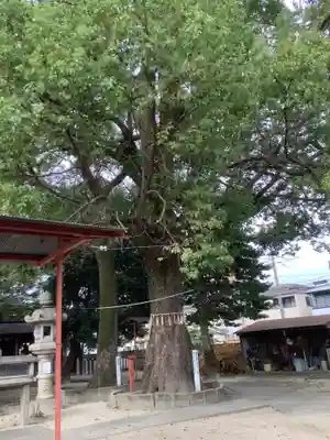 八幡社（松原八幡社）(愛知県)