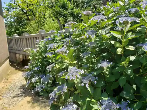 須田神社の自然