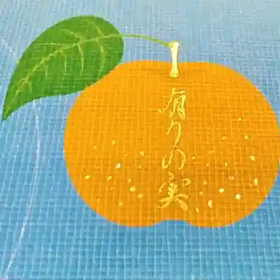 光胤山 大野本光寺の御朱印帳