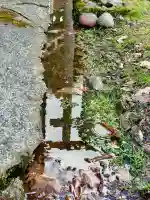 小谷石神社の{uncategorized: "未分類", other: "その他", undefined: "問題あり", building: "その他建物", grave: "お墓", sacred_gate: "鳥居", guardian: "狛犬", statue: "像", buddha: "仏像", history: "歴史", nature: "自然", garden: "庭園", animal: "動物", pagoda: "塔", temizu: "手水舎", mountain_gate: "山門・神門", sanctuary: "本殿・本堂", subordinate: "末社・摂社", art: "芸術", scenery: "景色", jizo: "地蔵", ema: "絵馬", goshuin: "御朱印", omikuji: "おみくじ", items: "授与品その他", amulet: "お守り", goshuincho: "御朱印帳", eats: "食事", festival: "お祭り", votive_dance: "神楽", shichigosan: "七五三参", wedding: "結婚式", experience: "体験その他", initially: "初詣", around: "周辺", anti_infection: "感染症対策"}