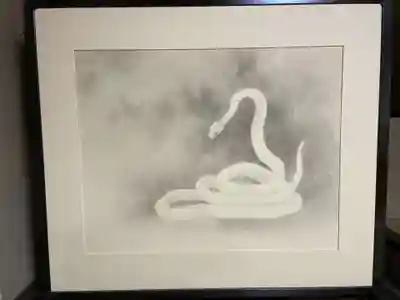 日體寺(京都府)