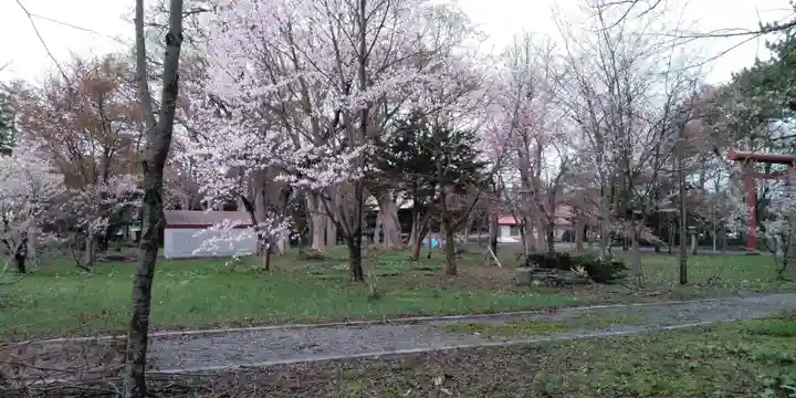 深川神社の庭園