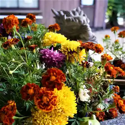滑川神社 - 仕事と子どもの守り神の手水舎