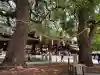 明治神宮の{uncategorized: "未分類", other: "その他", undefined: "問題あり", building: "その他建物", grave: "お墓", sacred_gate: "鳥居", guardian: "狛犬", statue: "像", buddha: "仏像", history: "歴史", nature: "自然", garden: "庭園", animal: "動物", pagoda: "塔", temizu: "手水舎", mountain_gate: "山門・神門", sanctuary: "本殿・本堂", subordinate: "末社・摂社", art: "芸術", scenery: "景色", jizo: "地蔵", ema: "絵馬", goshuin: "御朱印", omikuji: "おみくじ", items: "授与品その他", amulet: "お守り", goshuincho: "御朱印帳", eats: "食事", festival: "お祭り", votive_dance: "神楽", shichigosan: "七五三参", wedding: "結婚式", experience: "体験その他", initially: "初詣", around: "周辺", anti_infection: "感染症対策"}