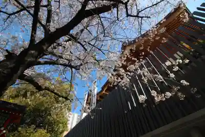 水天宮の本殿・本堂