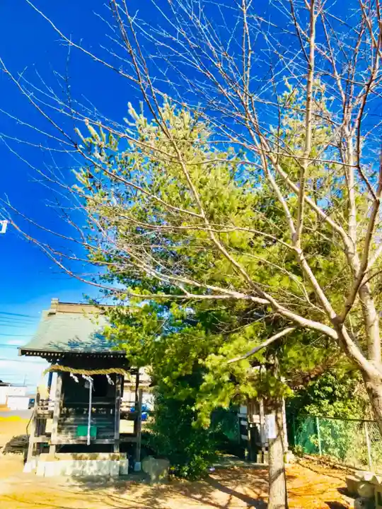 鹿島神社 (茨城県)