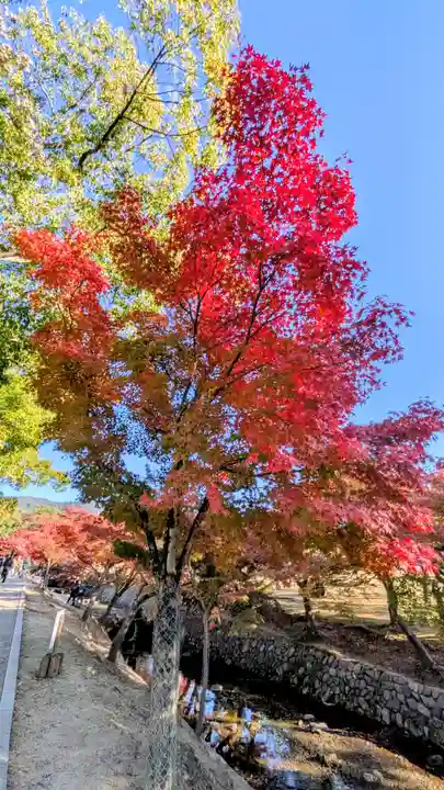 夫婦大國社(春日大社末社)(奈良県)