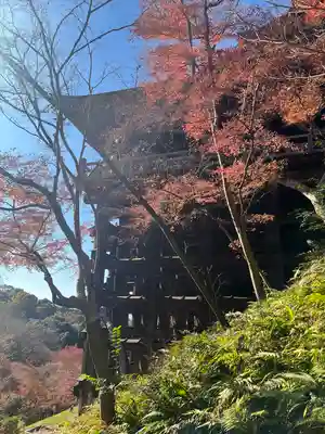 清水寺(京都府)