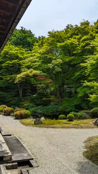 御寺 泉涌寺(京都府)