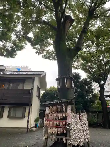 子安神社の絵馬